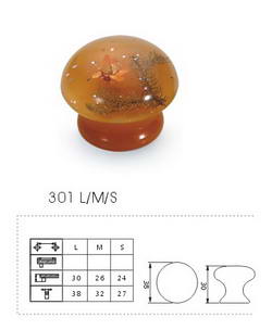 301 LMS